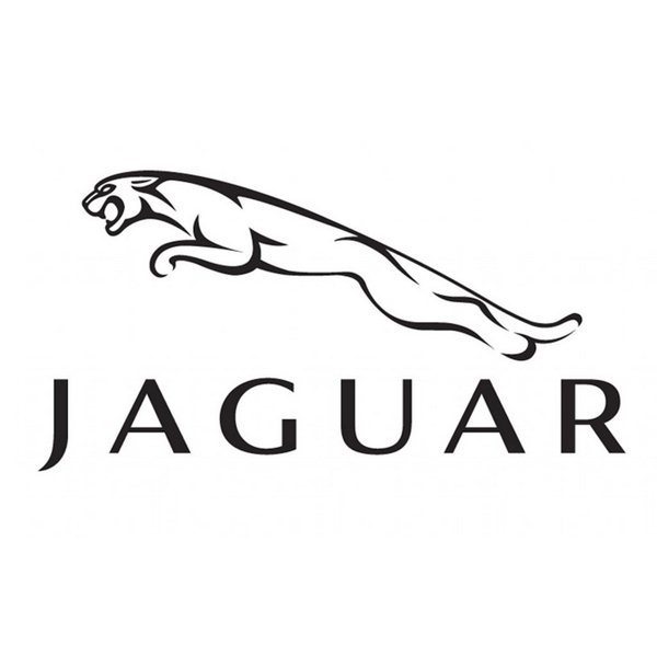 Jaguar Drivers Club Of The Americas